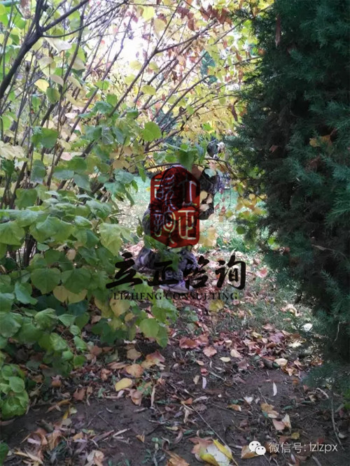 甘肅CS真人(rén)